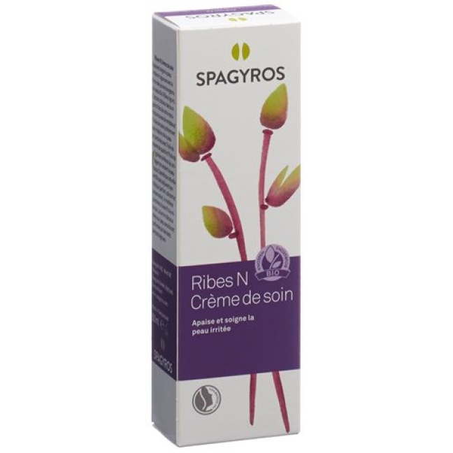 Spagyros Ribes N Pflegecreme в тюбике 50мл Spagyros Ribes N Pflegecreme в тюбике 50мл