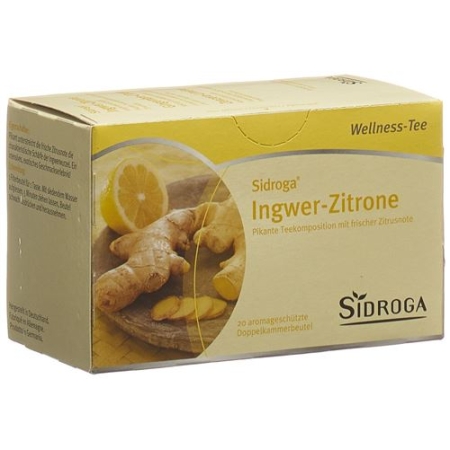 SIDROGA WELLN TEE INGWER Z