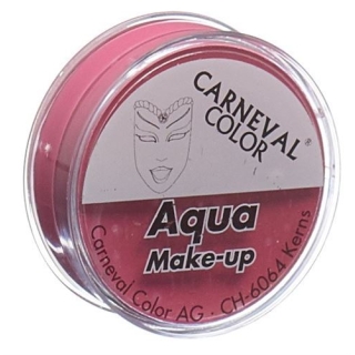 CARNEVAL COLOR AQUA MAKE PINK