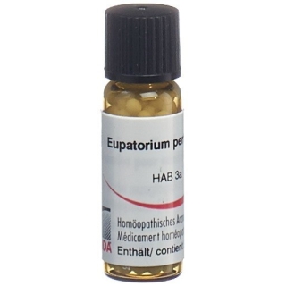 Omida Euphrasia шарики C 30 2г