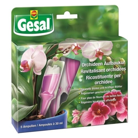 GESAL ORCHIDEEN-AUFBAUKUR