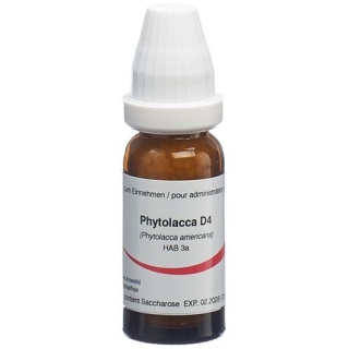 OMIDA PHYTOLACCA 4D