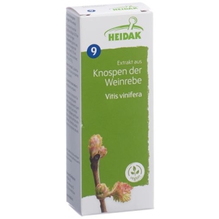 HEIDAK KN WEINREBE VITIS VINI