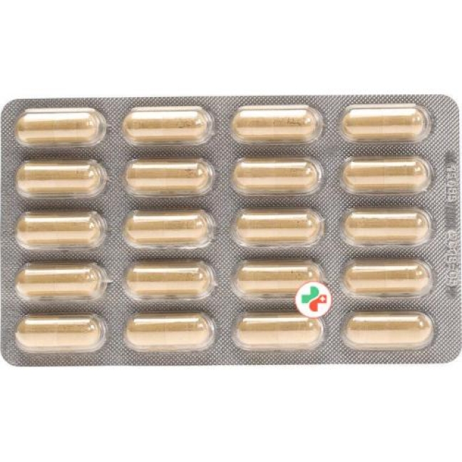 Luvos Heilerde Micro в капсулах 40 штук Luvos Heilerde Micro в капсулах 40 штук