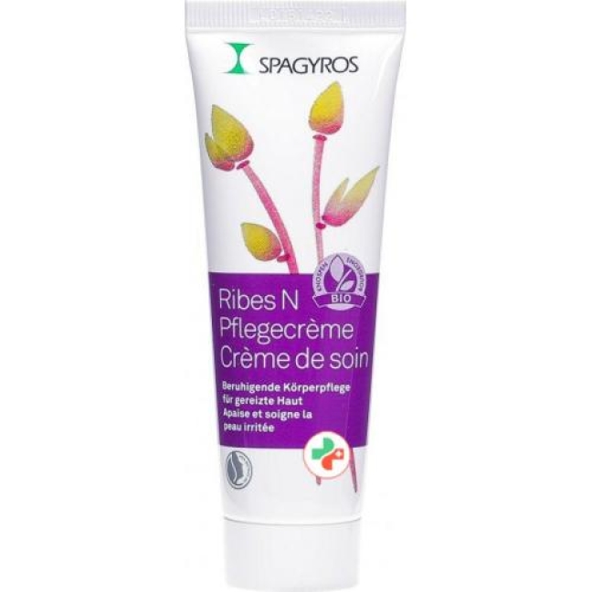 Spagyros Ribes N Pflegecreme в тюбике 50мл Spagyros Ribes N Pflegecreme в тюбике 50мл
