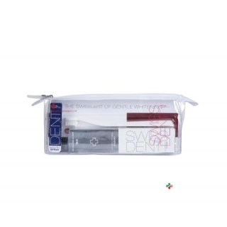 SWISSDENT EMERGENCY KIT SILBER