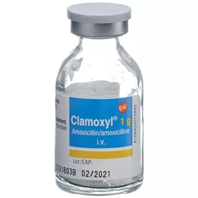 CLAMOXYL INJ LSG 1G I.M/I.V ST CLAMOXYL INJ LSG 1G I.M/I.V ST