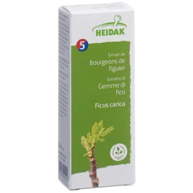HEIDAK KN FEIGE FICUS GLYCERIN HEIDAK KN FEIGE FICUS GLYCERIN