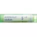 Boiron Antimonium Crudum в гранулах C 5 4г Boiron Antimonium Crudum в гранулах C 5 4г