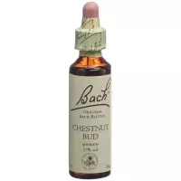 Bachbluten Chestnut Bud Nr. 7 жидкость 20мл
