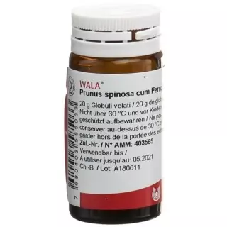 Wala Prunus Spinosa Ferm C Ferro шарики D 3 бутылка 20г