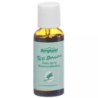 BERGLAND TEEBAUM