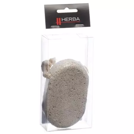 Herba Bimsstein Herba Bimsstein