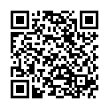 QR BLOX FLUGZEUG ERWACHSENE