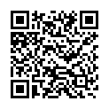 QR Sanotint цвет волос 04 Hellbraun