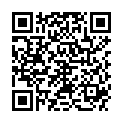 QR VLIWASORB PRO WUNDV 22X32CM