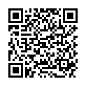 QR INCIDIN ALCOHOL FLCHENDESINFEK