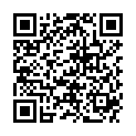 QR SHERTEME EDLE AURA BRAEU LSF10