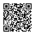 QR WEL ANTIMONIT DIL D30