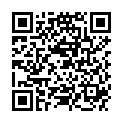 QR HEINE KRYPTOGEN EINSATZ 2.5V