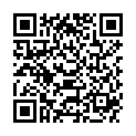 QR NATURGEIST ORIGINAL JAPAN OEL