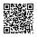 QR DAMASCENA RAUMSPRAY WEIHNA