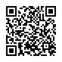 QR ISSRO ANANAS STUECKE