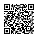 QR Herbachaud Warmepflaster 2 штуки