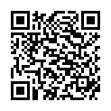 QR РУЧКА BREAK POINT С ПОДКЛАДКОЙ