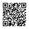 QR Phytomed Spagyr Hypericum Perfo Tropfen D 2 30ml