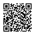 QR BORT ImmoXpress 0° 40cm schwarz