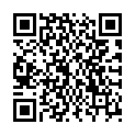 QR PUKKA Kurkuma Aktiv Tee Bio DE
